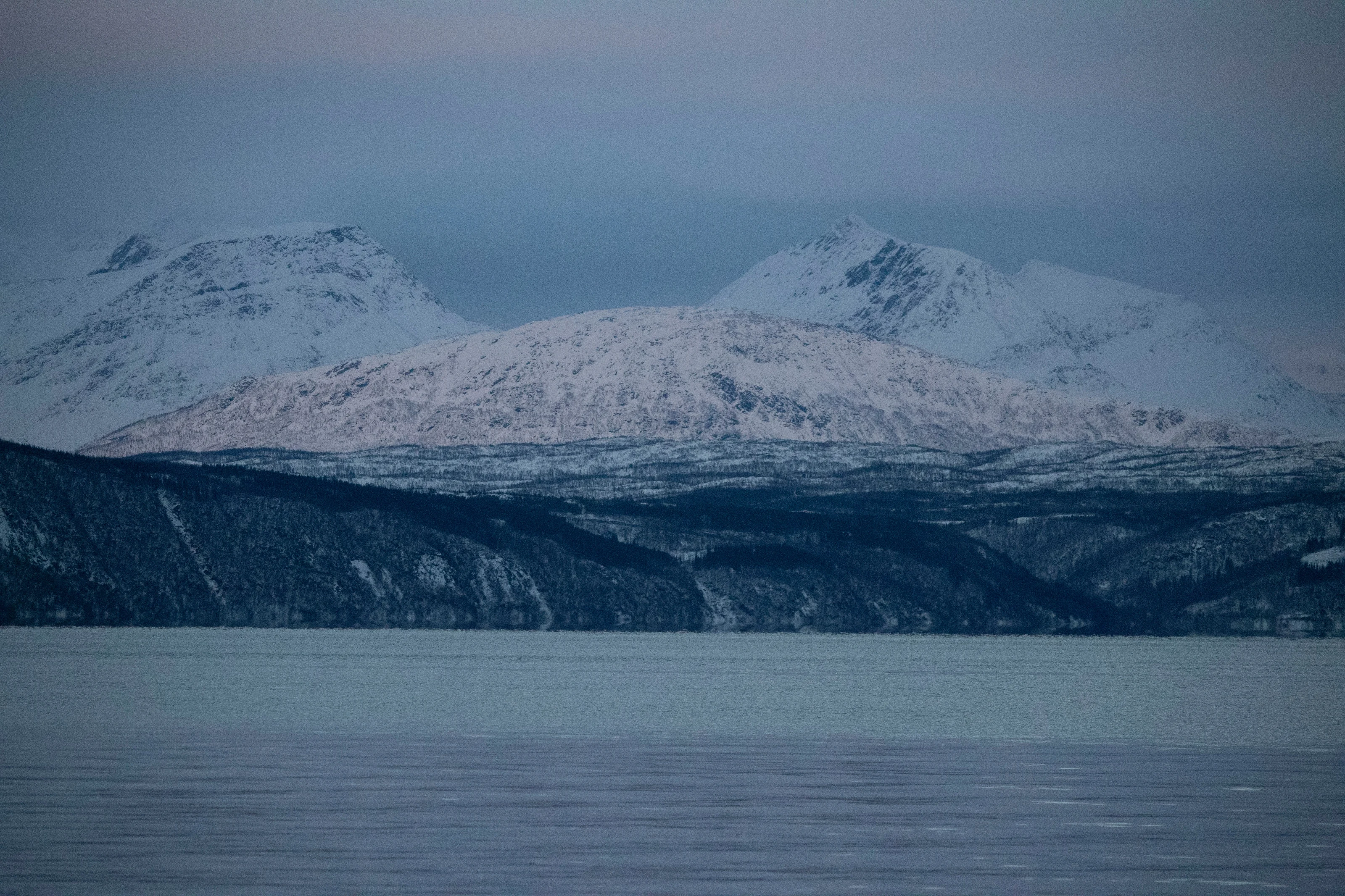 Narvik 